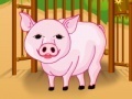 Jogo baby pig care