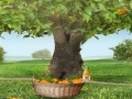 Jogo Innocent Orange Harvest