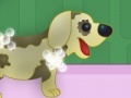 Jogo Pet Caring Fun