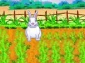 Jogo Playful Bunnies