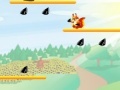 Jogo Squirrel