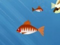 Jogo Hungry Piranha