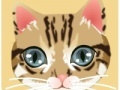 Jogo Fashion cat eyes makeup