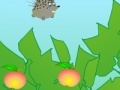 Jogo Hedgehog and apples