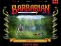 Jogo Barbarian Warrior