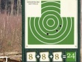 Jogo Sharpshooter. The pistol.