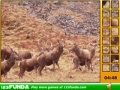 Jogo Hidden Spots Animals