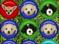 Jogo Cute puppy match