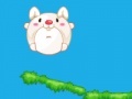 Jogo Rolling rabbit