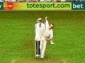 Jogo Cricket 3d