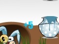 Jogo Crazy Rabbit Contest