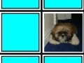 Jogo In memory: puppies