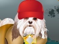 Jogo Havanese Dog