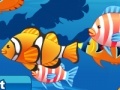 Jogo My sweet fish