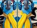 Jogo Rio, spot the difference