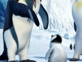 Jogo Hidden Numbers Happy Feet Two