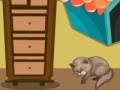 Jogo Cat room decor