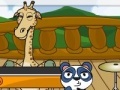 Jogo Animal band quiz