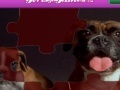 Jogo Jigsaw world puppies
