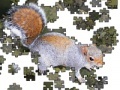 Jogo Jigsaw: Posing Squirrel