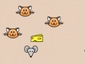 Jogo Cat and Mouse