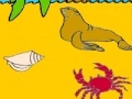 Jogo Seal in the beach coloring