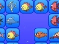 Jogo Fish connect