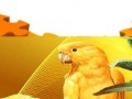 Jogo Two offended parrot puzzle