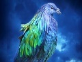 Jogo Lovely blue bird slide puzzle