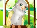Jogo Cute parrot dress up