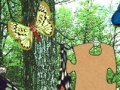 Jogo 3D Real Puzzle butterfly