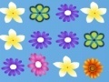 Jogo Collect flowers