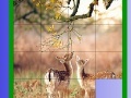 Jogo Two Deer Slide Puzzle