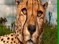 Jogo Big head cheetah slide puzzle