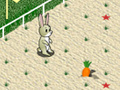 Jogo Animal 4 Steps