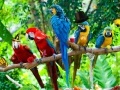Jogo Zoo Hidden Objects 