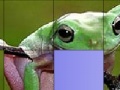 Jogo Frog Slide Puzzle