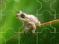 Jogo Cute little frog puzzle