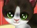 Jogo Paws to Beauty 3: Puppies & Kittens Edition