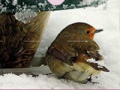 Jogo Little Bird And Snow Puzzle 