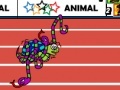 Jogo Animal Olympics - Hurdles