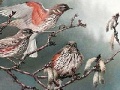 Jogo Birds on a tree slide puzzle