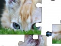 Jogo Jigsaw: Cat Hiding