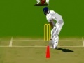 Jogo Virtual cricket