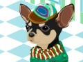 Jogo Pick up the suit for Chihuahua
