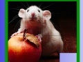 Jogo Puzzle: Apple and Mouse