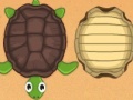 Jogo Guess the turtle