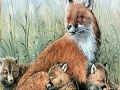 Jogo Fox family in the nature puzzle