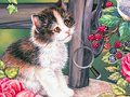 Jogo Hidden Numbers Cat