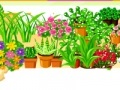 Jogo Chloe Garden Design 